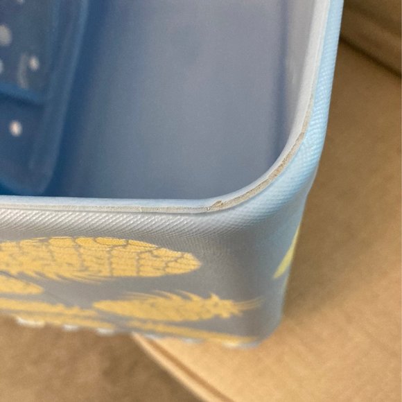 Large Pineapple Bogg Bag - Picture 11 of 11